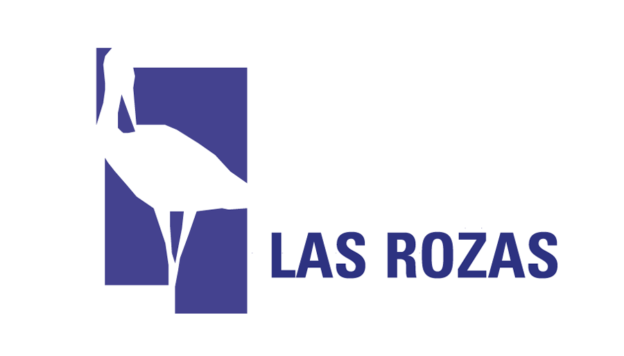 logotipo-rozas-madrid